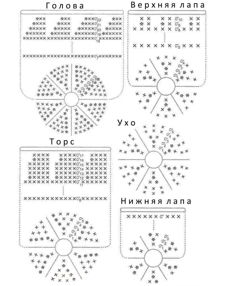 Амигуруми панда схема. Вязание крючком Панда амигуруми схема. Связать панду крючком схема. Панда амигуруми крючком схема. Панда вязаная крючком схема.